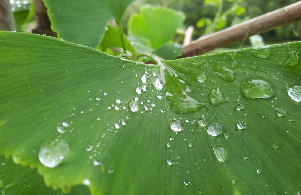 攻击网站的方法